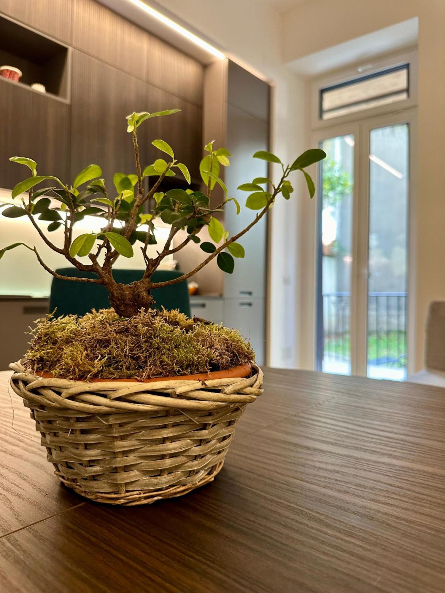 Lr Deluxe Apartments - Porta Venezia - Bilocale Con Giardino Privato 밀라노 외부 사진